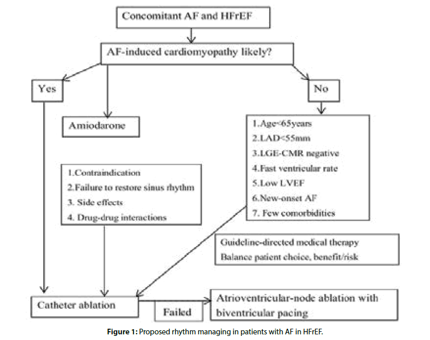 Interventional-Cardiology-patients