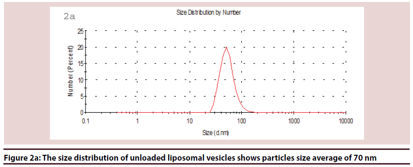 biochemistry-research-size-distribution