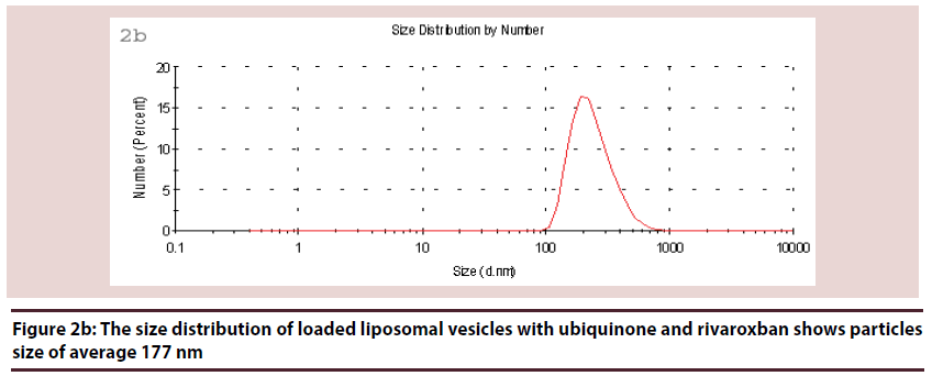 biochemistry-research-size-loaded