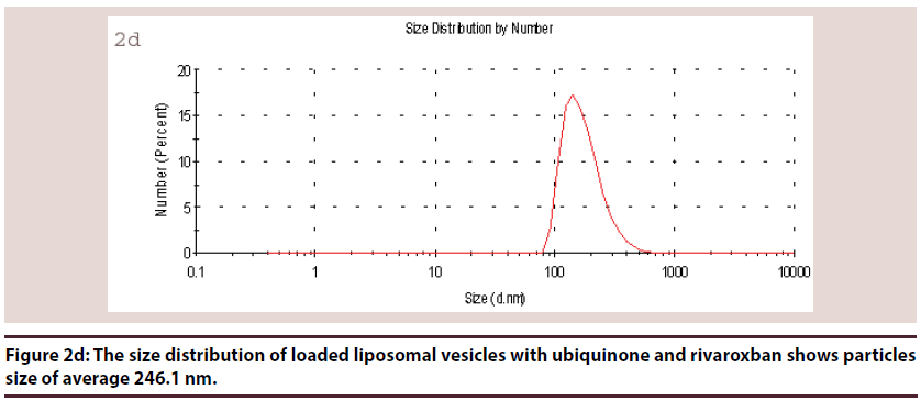 biochemistry-research-size-vesicles