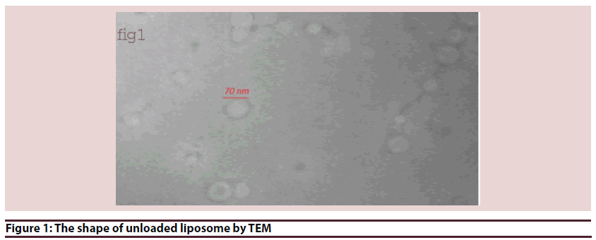 biochemistry-research-unloaded-liposome