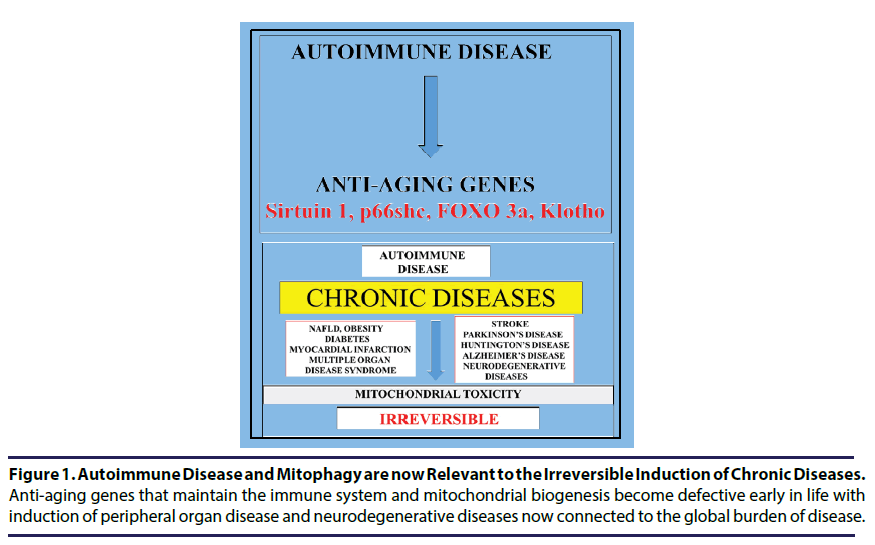 chronic-diseases-immune-system