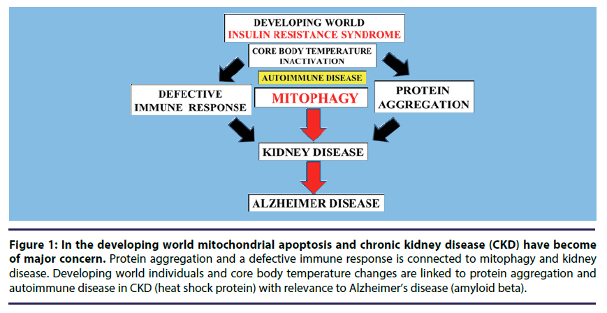 chronic-diseases-mitochondrial-apoptosis