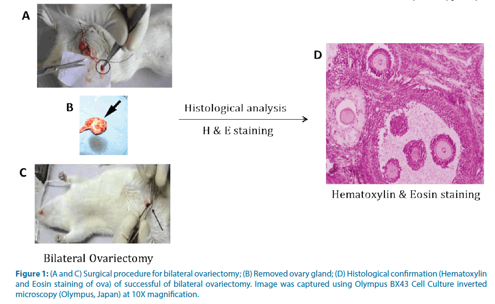 clinical-investigation-Surgical-procedure