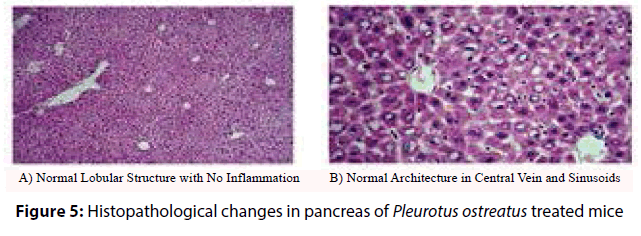 clinical-investigation-diabetic-mice