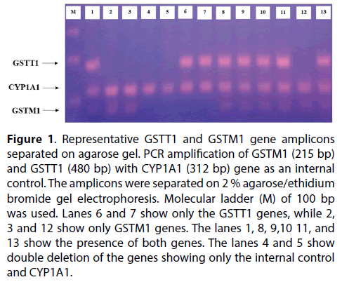 clinical-investigation-gene-amplicons
