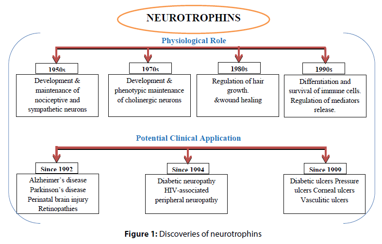 clinical-investigation-neurotrophins