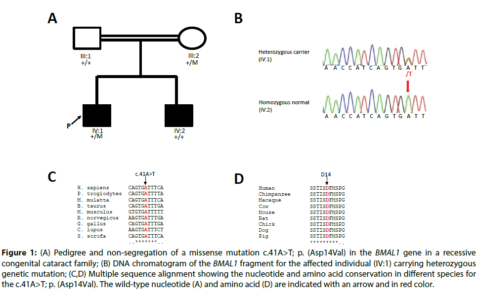 clinical-investigation-non-segregation