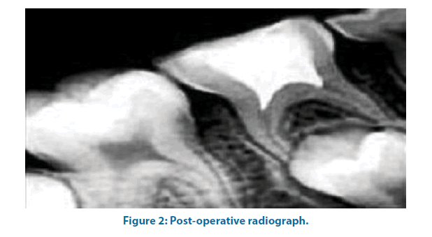 clinical-investigation-operative