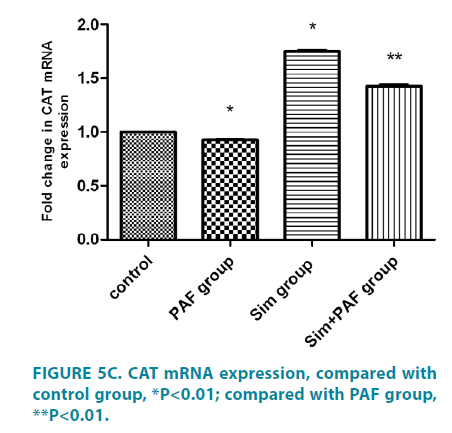 clinical-practice-CAT-mRNA-expression