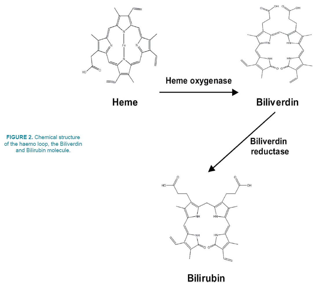 clinical-practice-Chemical-structure