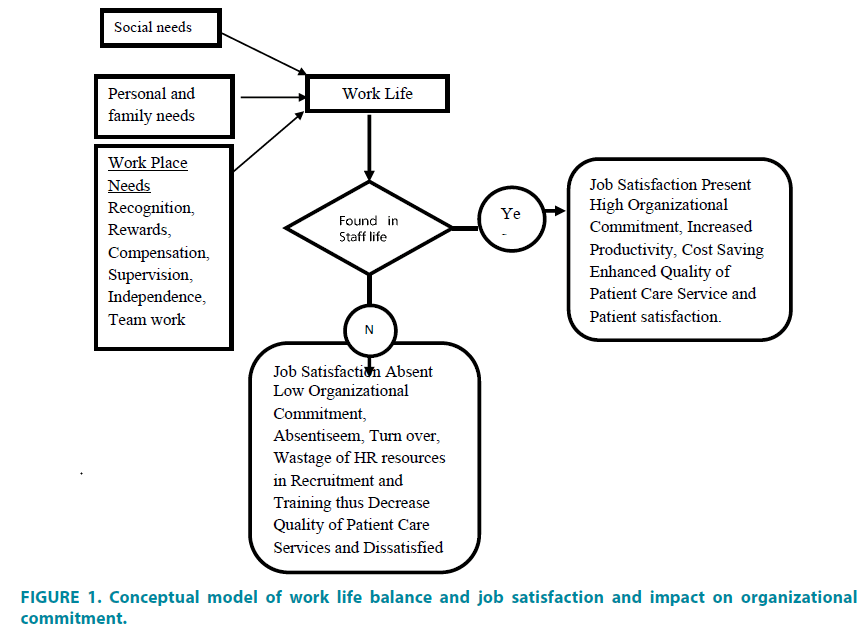 clinical-practice-Conceptual-model