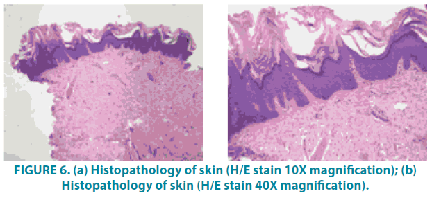 clinical-practice-Histopathology