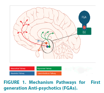 clinical-practice-Mechanism-Pathways