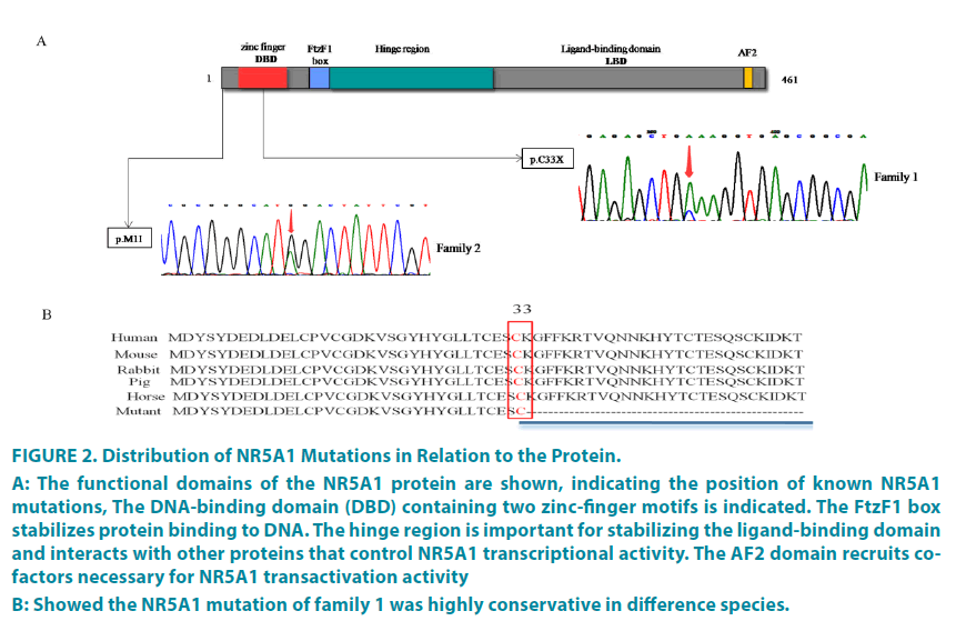 clinical-practice-Mutations-Relation