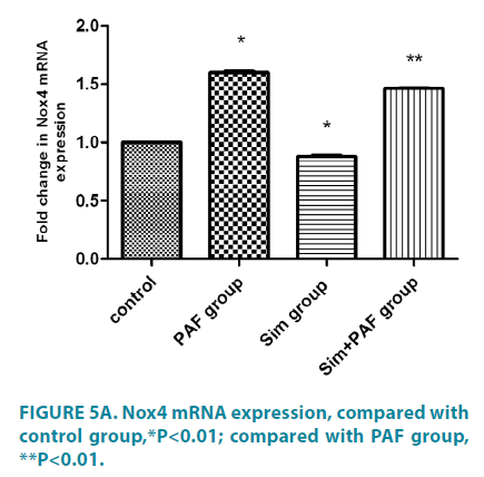 clinical-practice-Nox4-mRNA-expression