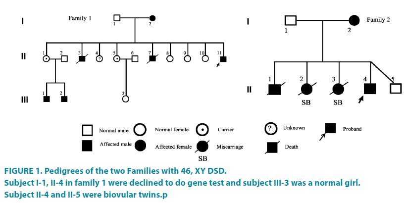 clinical-practice-Pedigrees-two-Families