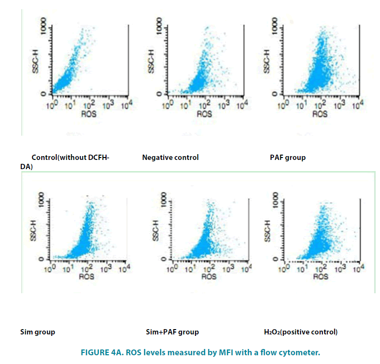 clinical-practice-ROS-levels-measured