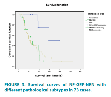 clinical-practice-Survival-curves