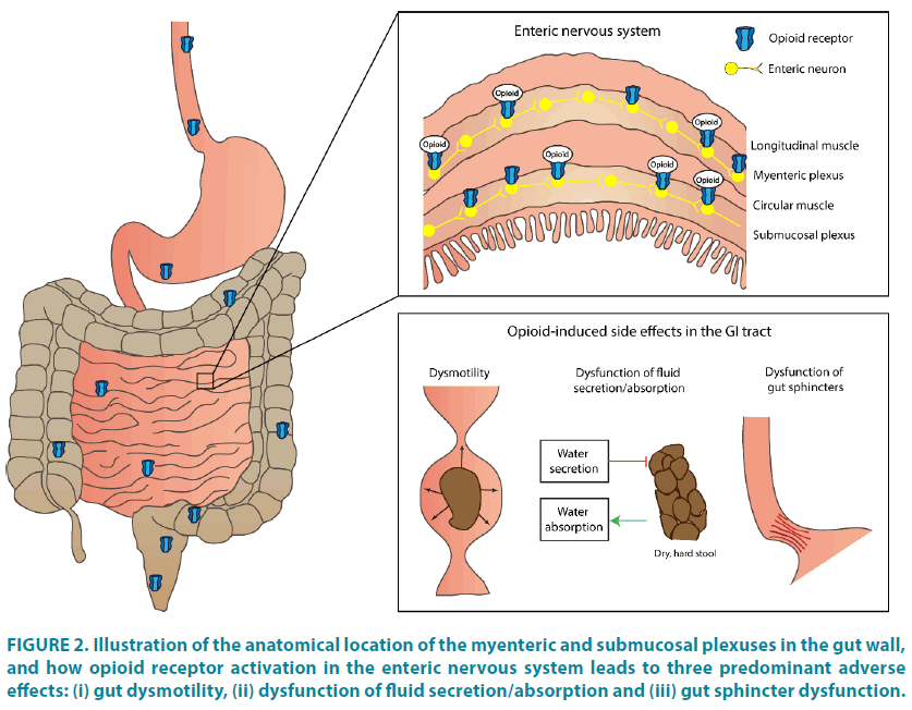 clinical-practice-anatomical-location