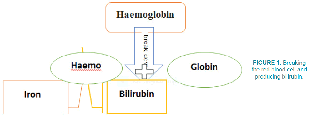 clinical-practice-blood-cell