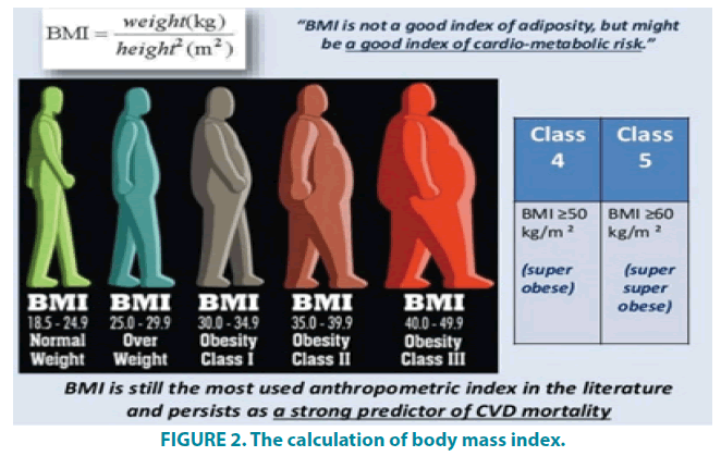 clinical-practice-body-mass