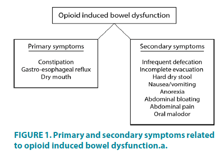 clinical-practice-bowel-dysfunction
