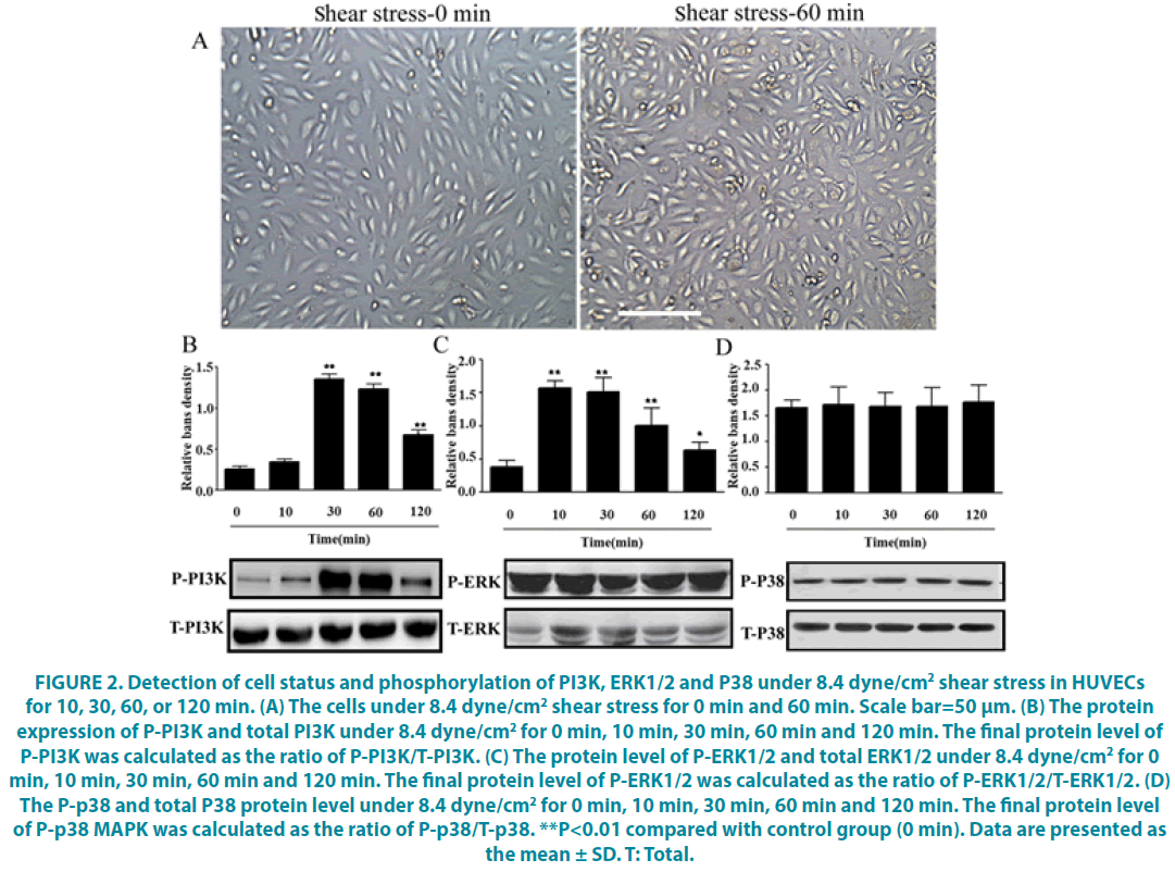 clinical-practice-cell-status