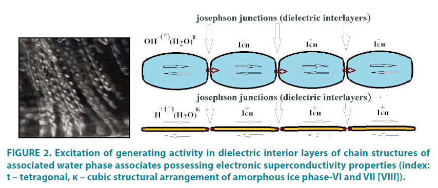 clinical-practice-dielectric-interior-layers