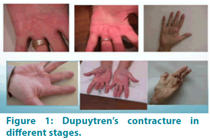 clinical-practice-different-stages