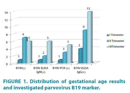 clinical-practice-investigated-parvovirus