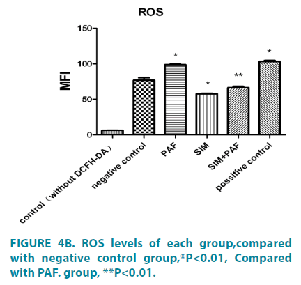 clinical-practice-negative-control-group