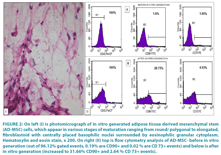 clinical-practice-photomicrograph