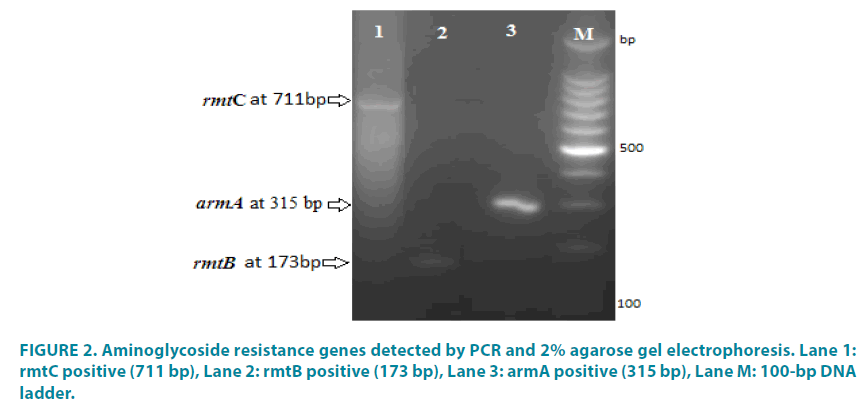 clinical-practice-resistance-genes