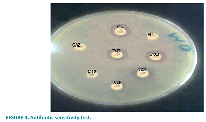 clinical-practice-sensitivity-test