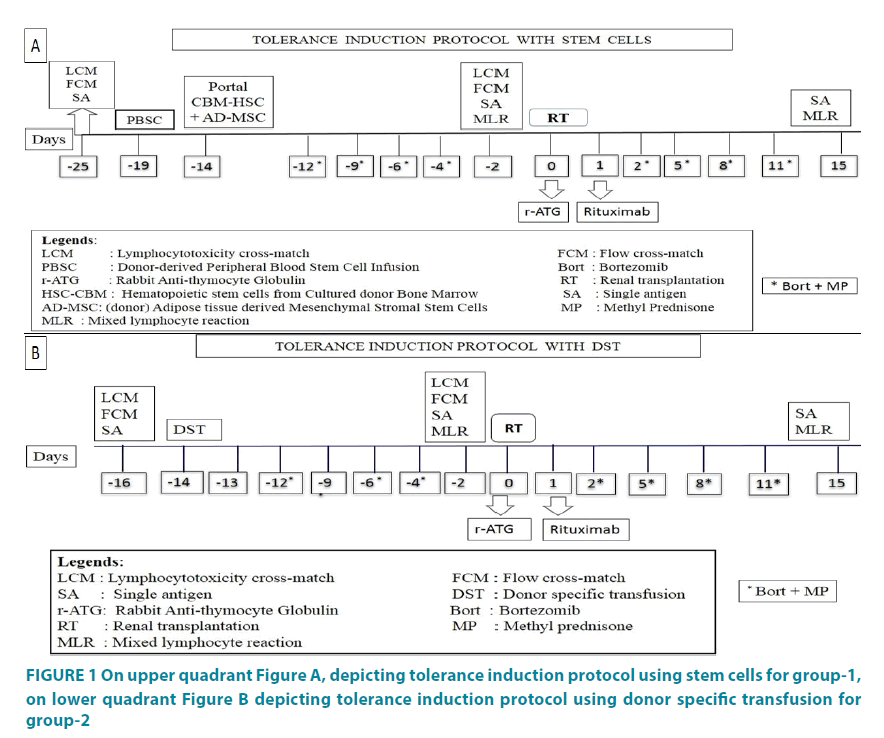 clinical-practice-upper-quadrant