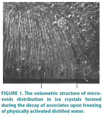 clinical-practice-volumetric-structure