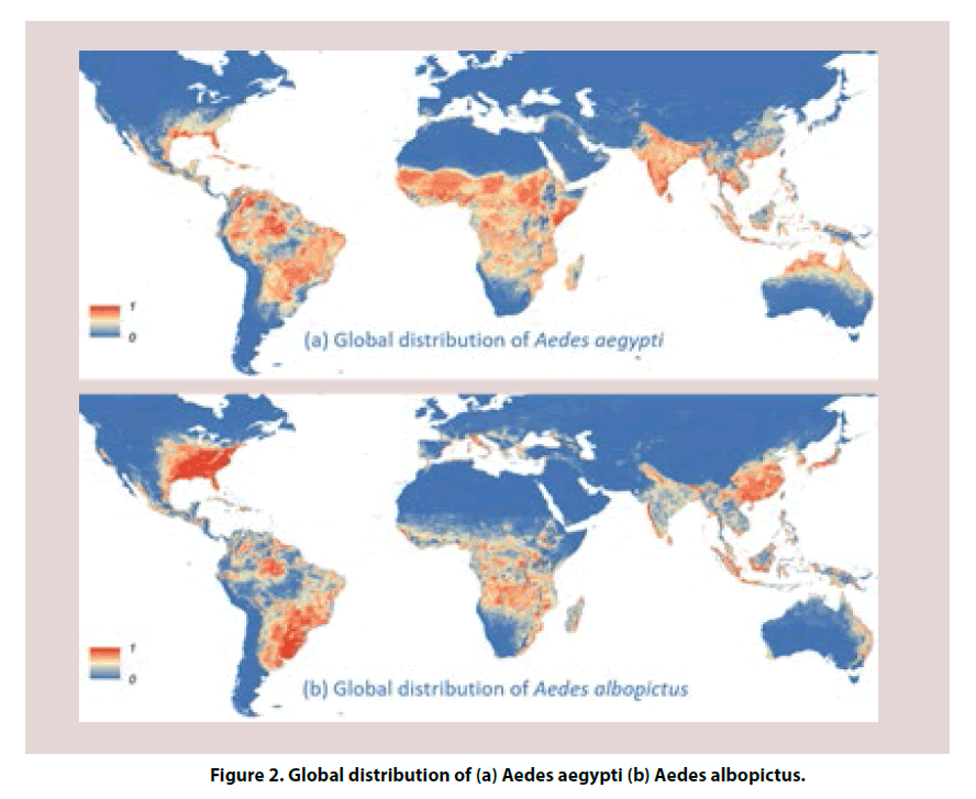 clinical-rheumatology-Global-distribution