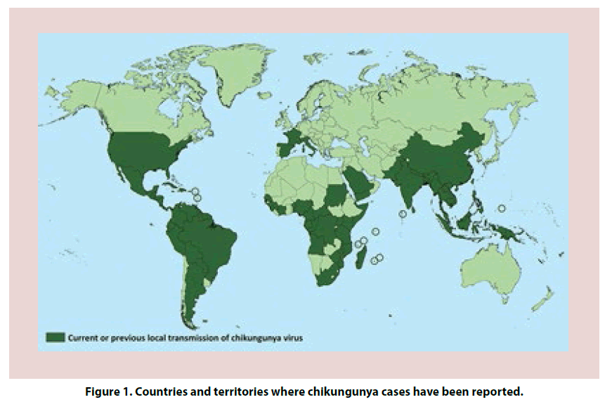clinical-rheumatology-chikungunya-cases