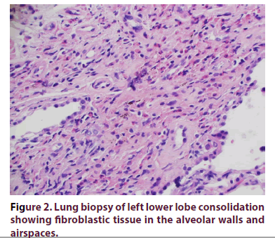 clinical-rheumatology-consolidation