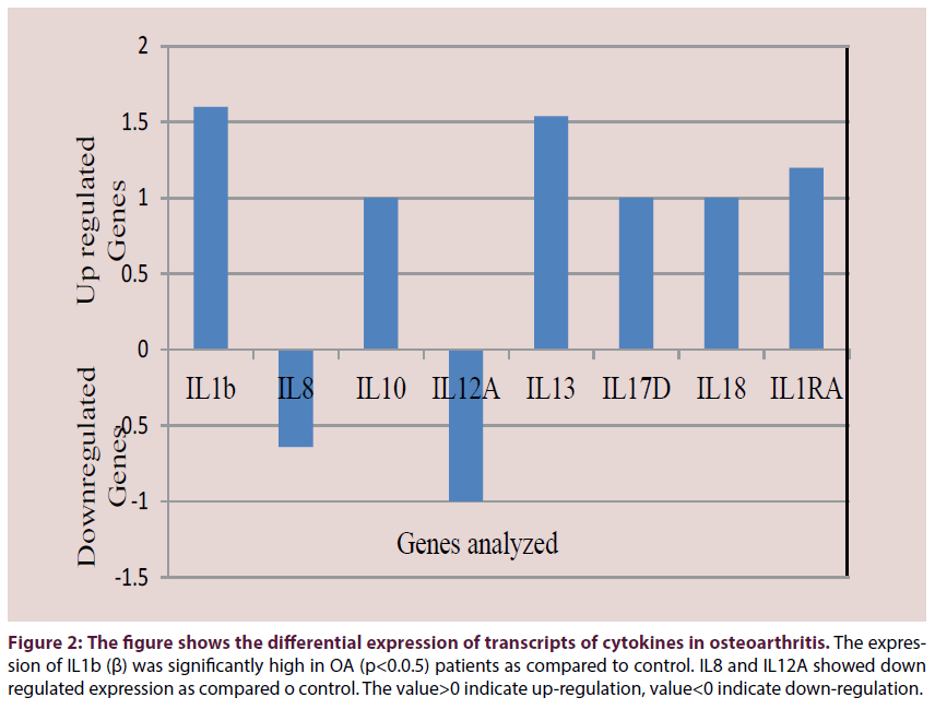 clinical-rheumatology-cytokines-osteoarthritis 