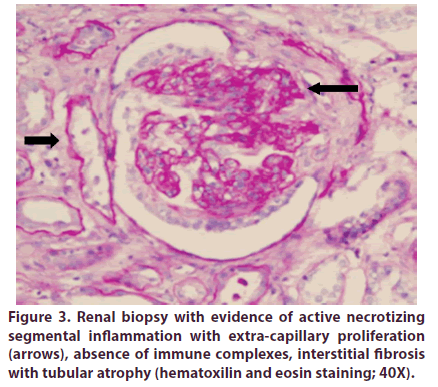 clinical-rheumatology-hematoxilin