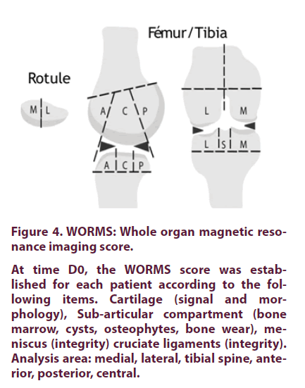 clinical-rheumatology-imaging-score