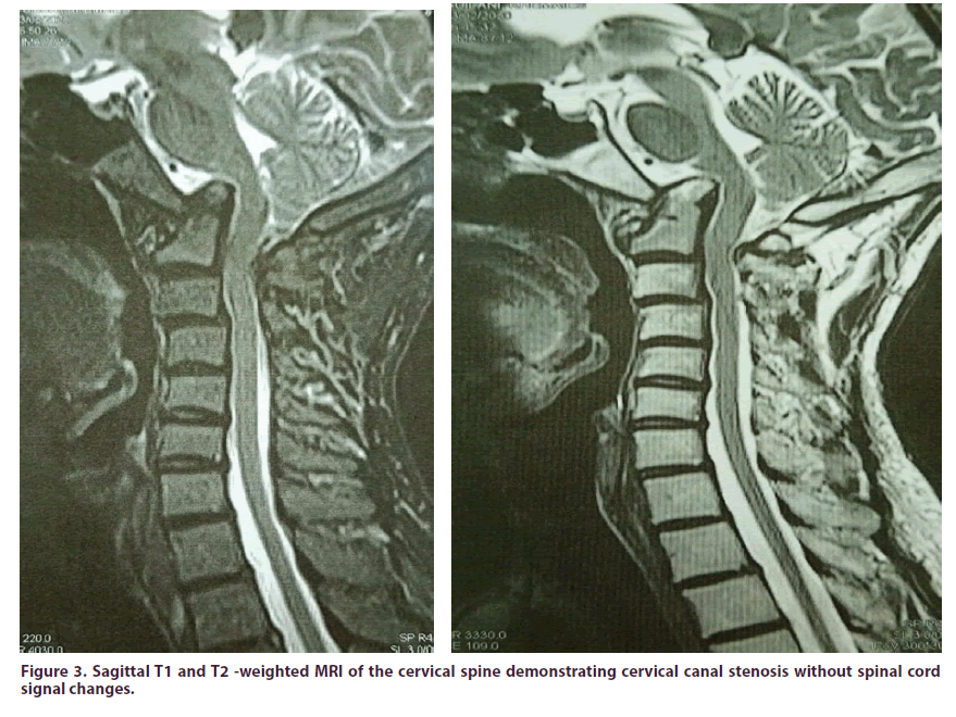 clinical-rheumatology-weighted