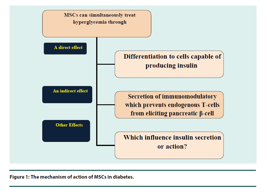 diabetes-management-MSCs-diabetes