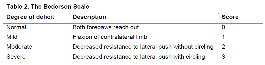 experimental-stroke-Bederson-Scale