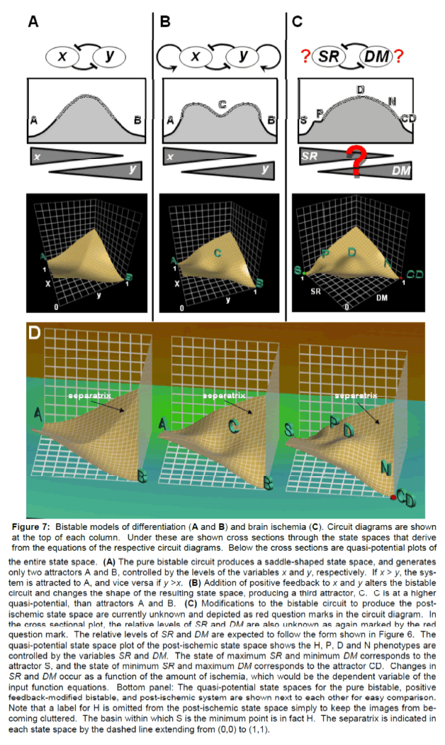 experimental-stroke-Bistable-models