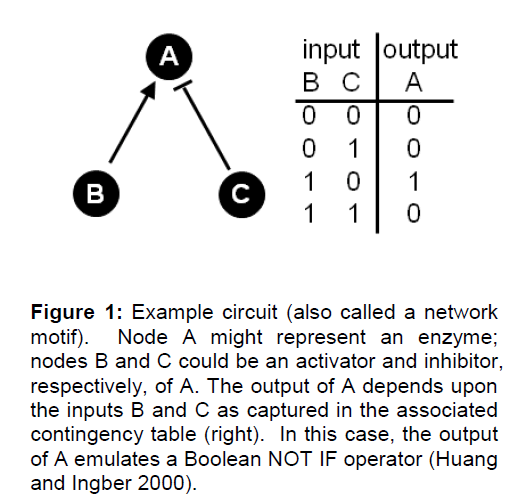 experimental-stroke-Example-circuit