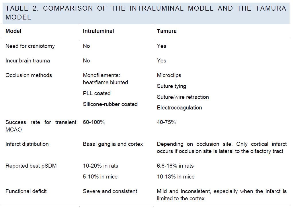 experimental-stroke-Intraluminal-Model