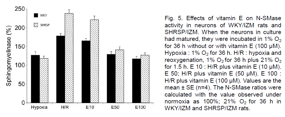 experimental-stroke-N-SMase-ratios